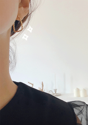 루드꼬임 - earring