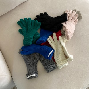 [wool 100%] fondue color - gloves